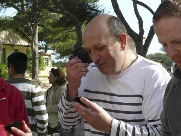 oursinade 2008-09-10.jpg